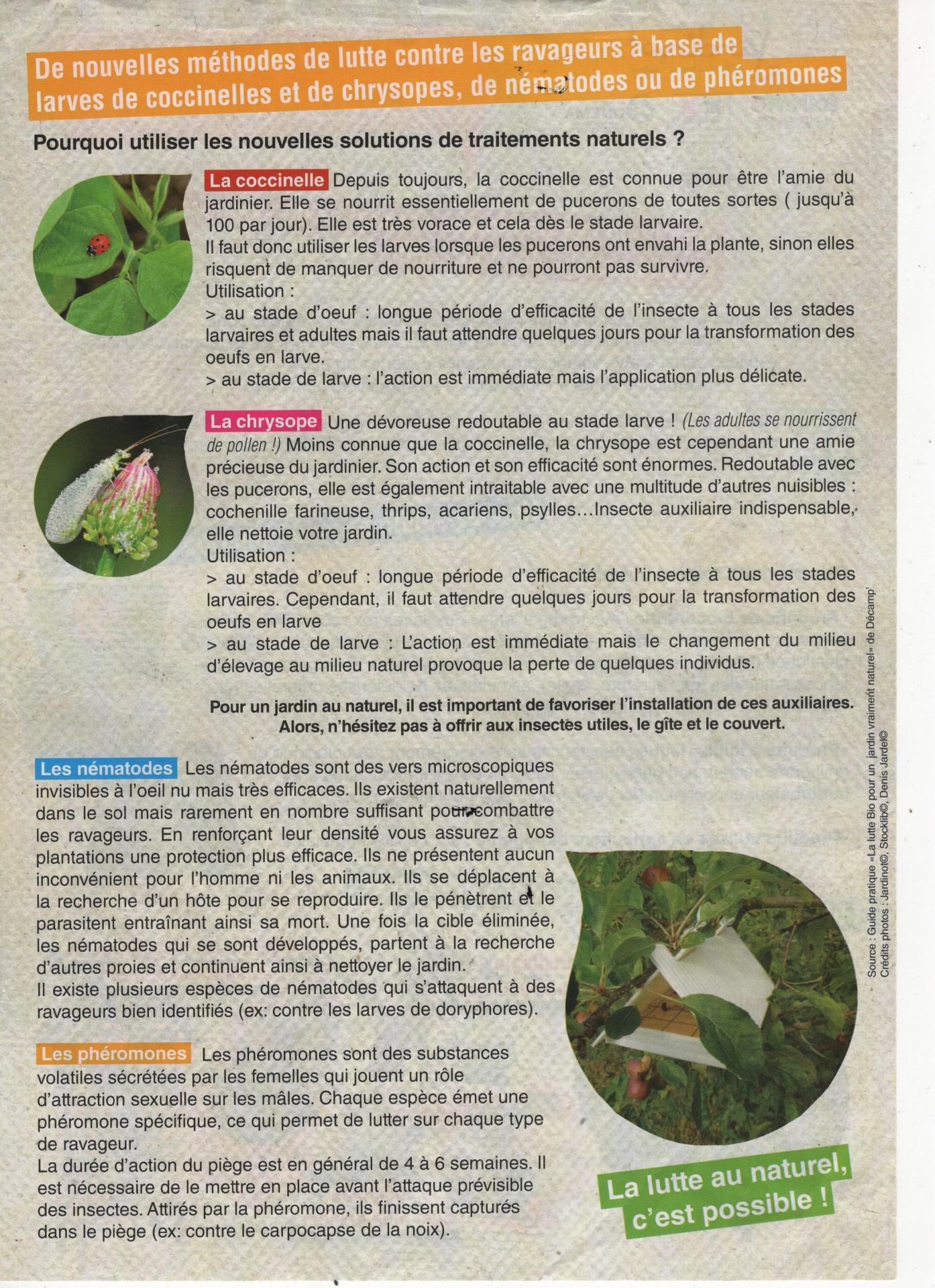 Jardinage eco responsable 001